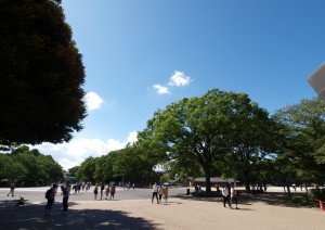 上野公園２